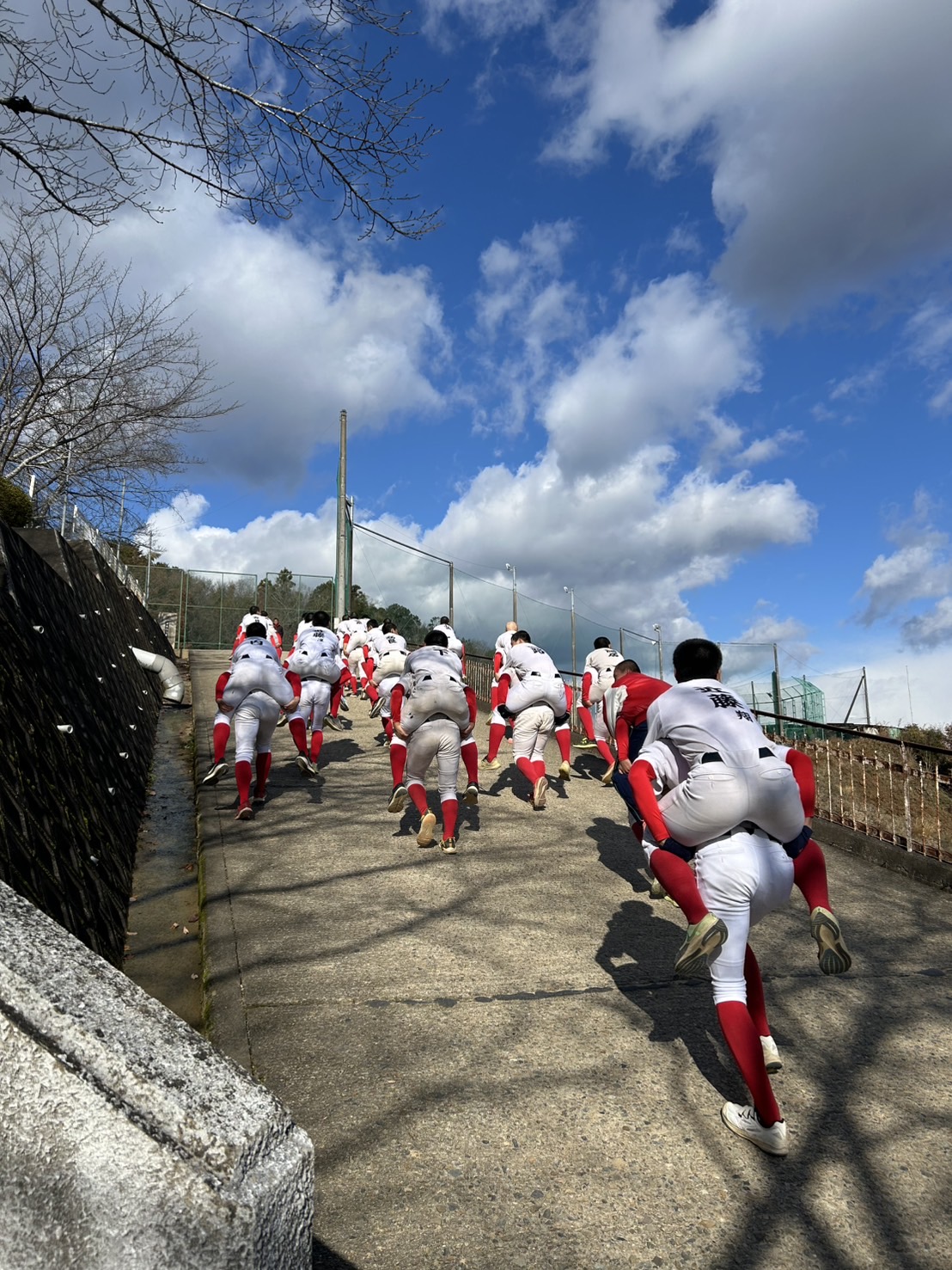 2025年】星城高校 硬式野球部の紹介 | DENREI(デンレイ)【高校野球部 