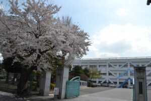 【2025年】滋賀県立水口高校 硬式野球部の紹介