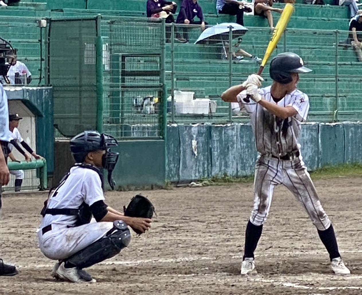 【2026年】京都府立洛東高校 硬式野球部の紹介